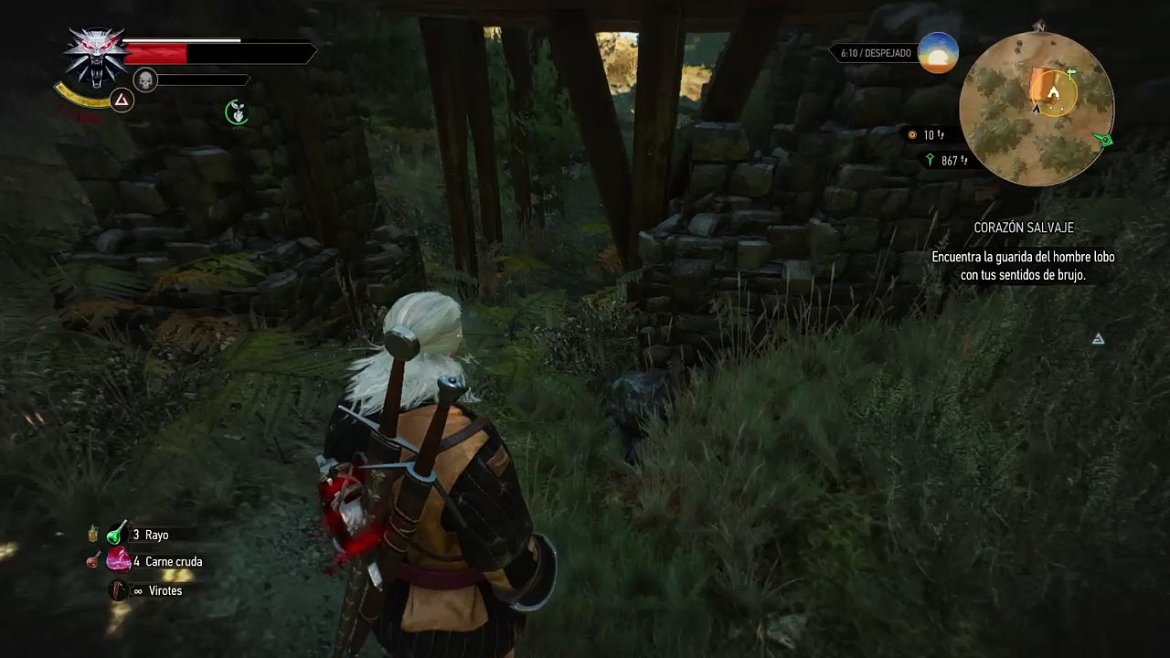 The Witcher 3: Wild Hunt