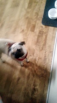 Are You Being A Good Good Girl