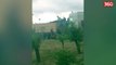 Kapet ne kamera momenti kur emigrantet shqiptare zbresin nga kamioni per te kaluar kufirin ne France (360video)