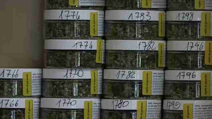 Las tiendas de "marihuana legal" llegan a Italia