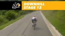 Cummings dans la descente / going downhill - Étape 12 / Stage 12 - Tour de France 2017
