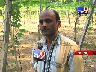 Anand: 20 villages where salt is not needed for cooking-Tv9 Gujarati