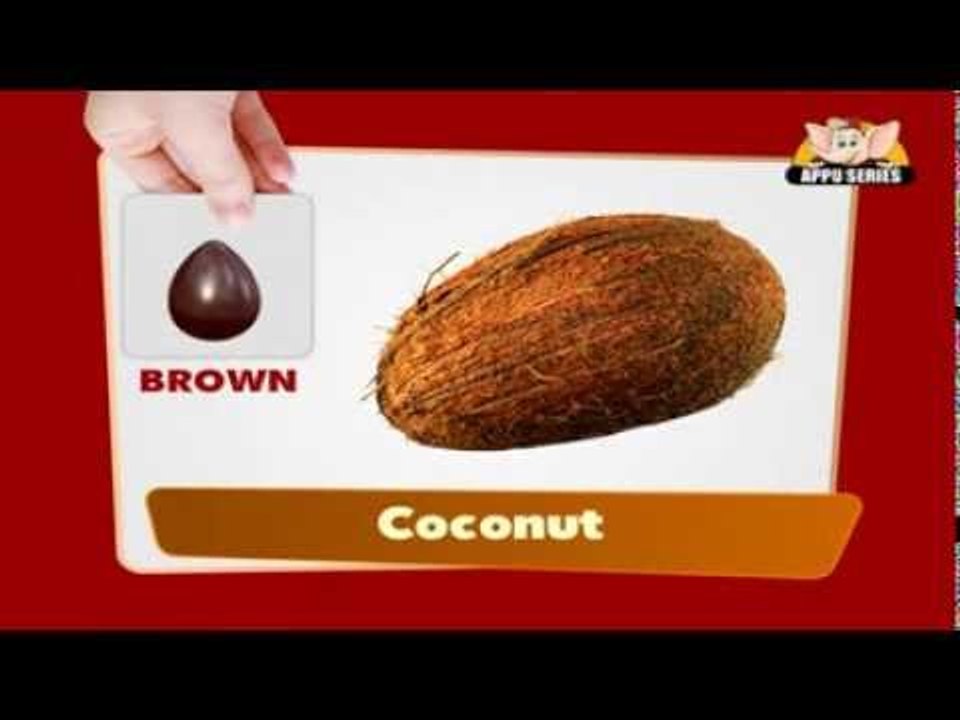 Colours - Flap Book in Marathi