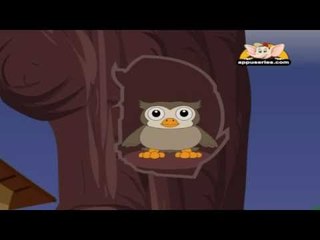 Animal Sounds in Marathi - Owl