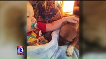 Family Issues Warning About Deadly Virus After Adopted Puppy Dies