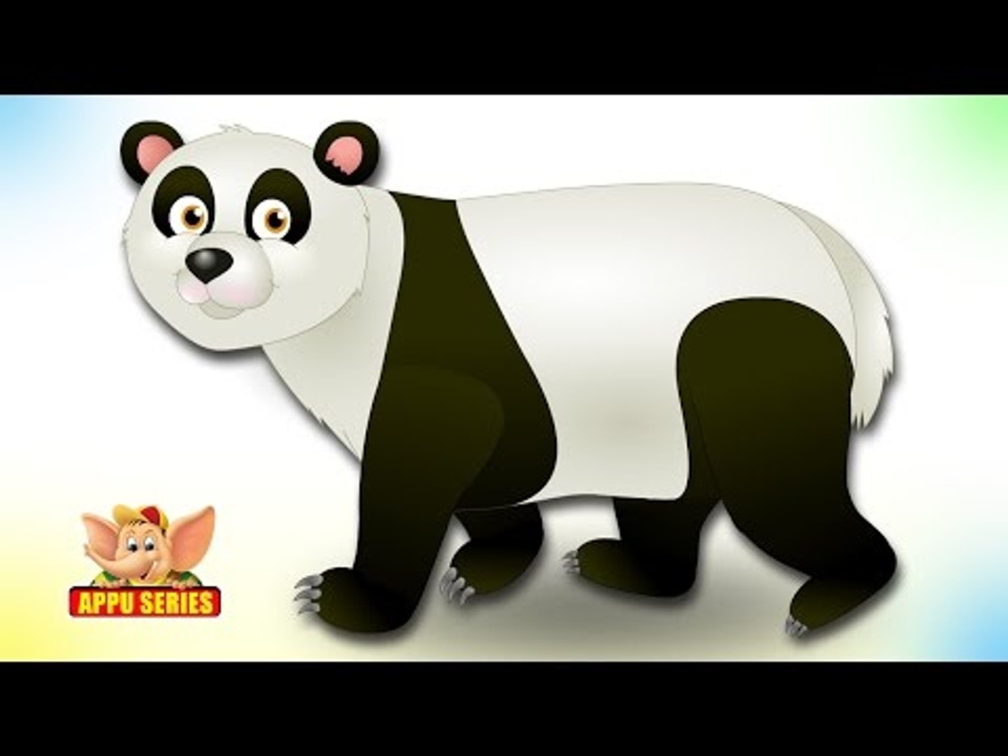 Panda - Animal Rhymes in Ultra HD (4K)