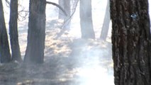 Ormanlık Alandaki Yangın Kontrol Altına Alındı
