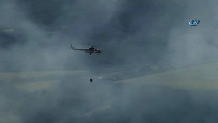 Tekirdağ'da 50 Hektar Ormanlık Alan Kül Oldu