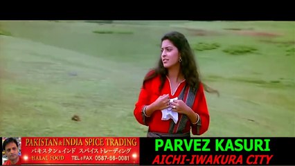 Aye Mere Humsafar - Qayamat Se Qayamat Tak (1080p HD Song)_1