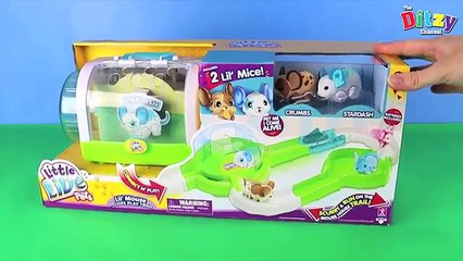 Utube Kid 01 - Little Live Pets Lil Mouse House Trail two Mice Chatter Smooch Unboxing Re