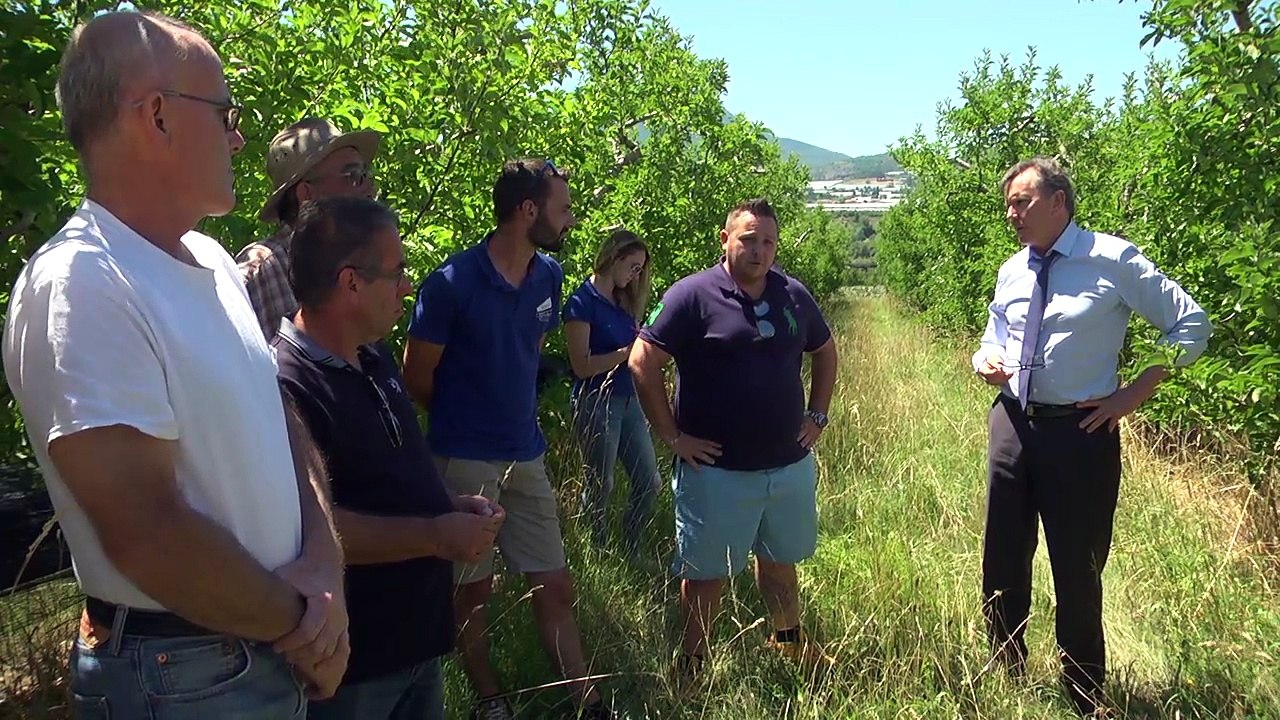 Alpes de Haute-Provence : pas moins de 50 exploitations touchées par les gelées noires