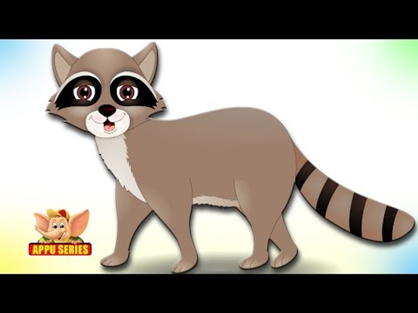 Raccoon - Animal Rhymes in Ultra HD (4K)