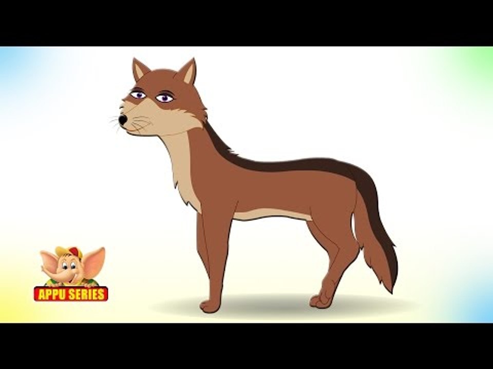 Jackal - Animal Rhymes in Ultra HD (4K)