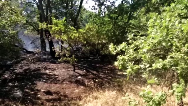 Incendio presso il canalone Ciappetta-Camaggio di Andria