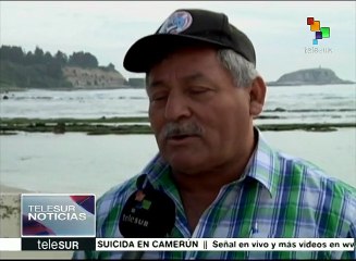 Chile: club de yates amenaza al ecosistema del islote Pájaros Niños