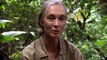 Jane Goodall: Hero Tribute to Dr. Goodall for her 80th birthday in 2014