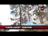 Bilecik Alev Alev Yanıyor! - 14 Eylül 2017