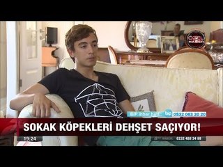 Sokak Köpekleri Dehşet Saçıyor - 14 Eylül 2017