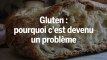 Gluten : pourquoi c'est devenu un problème