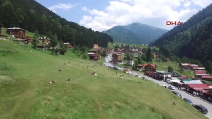 Özel - Rize'de Bu Yaylayı Vatandaşlar Gözü Gibi Koruyor