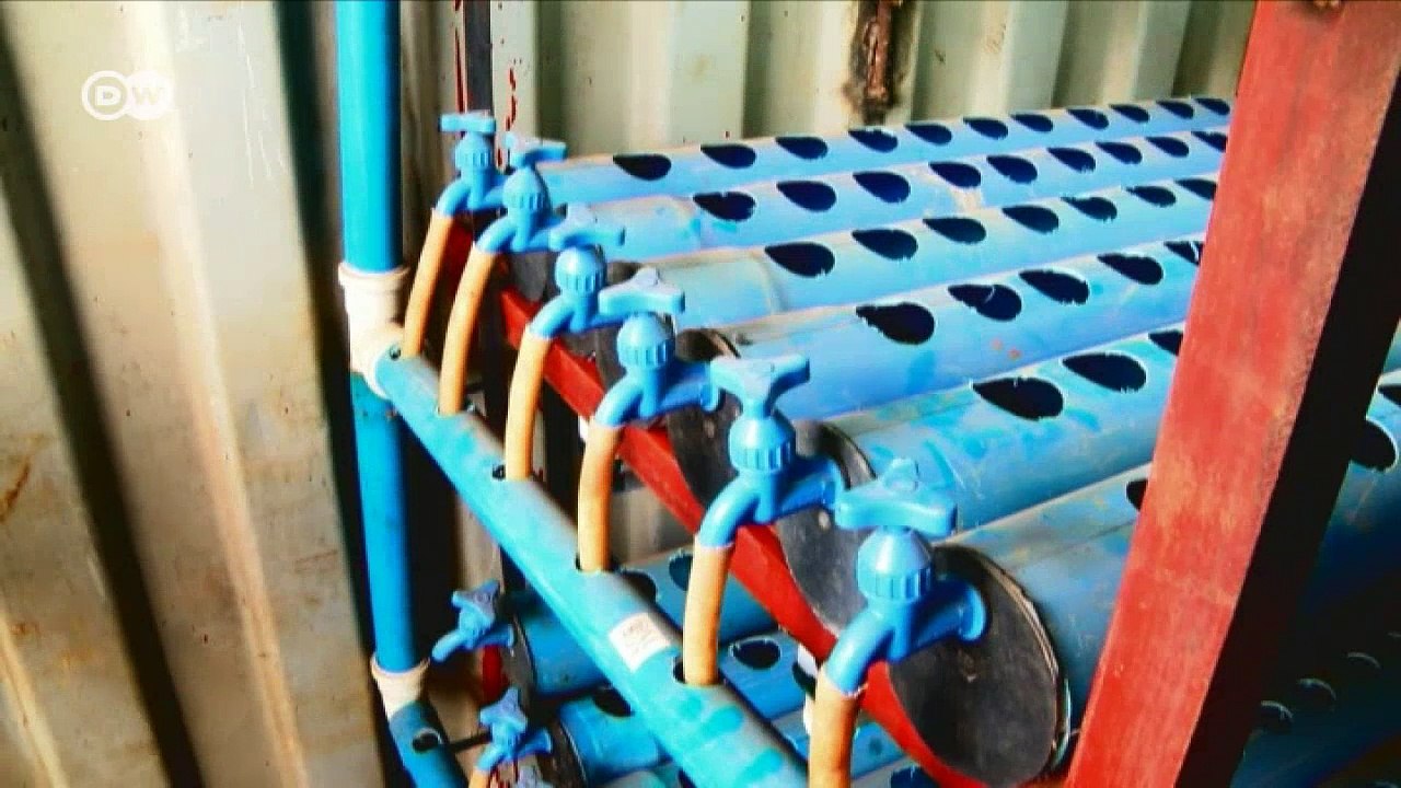 Nigeria goes hydroponic | DW English