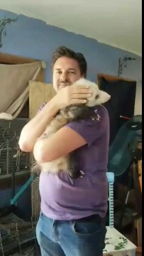 Cet homme a un opossum de compagnie !! Tellement doux !!