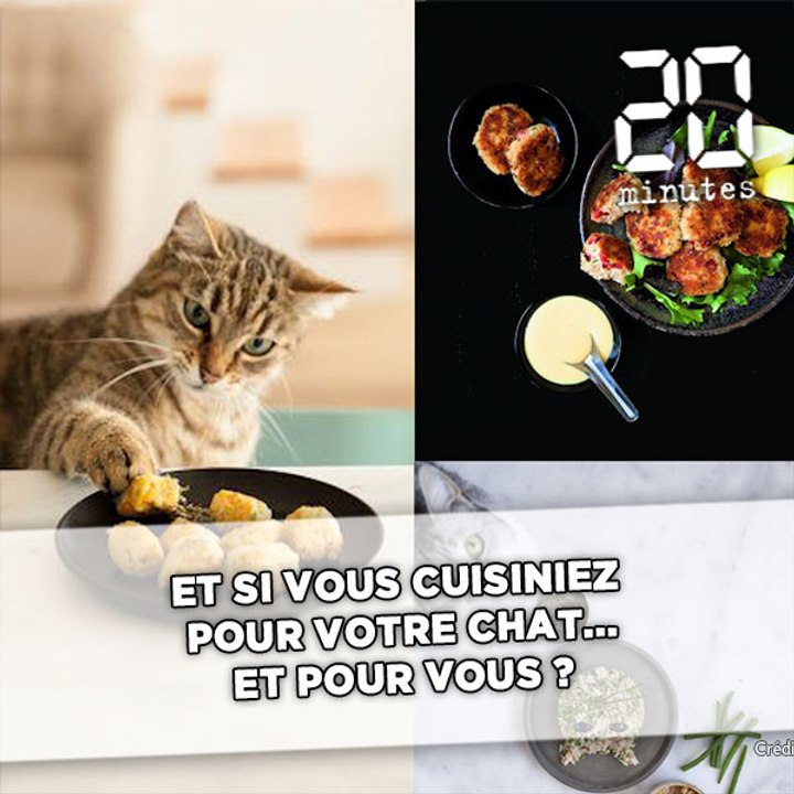 Et si vous cuisiniez pour votre chat... et pour vous ?