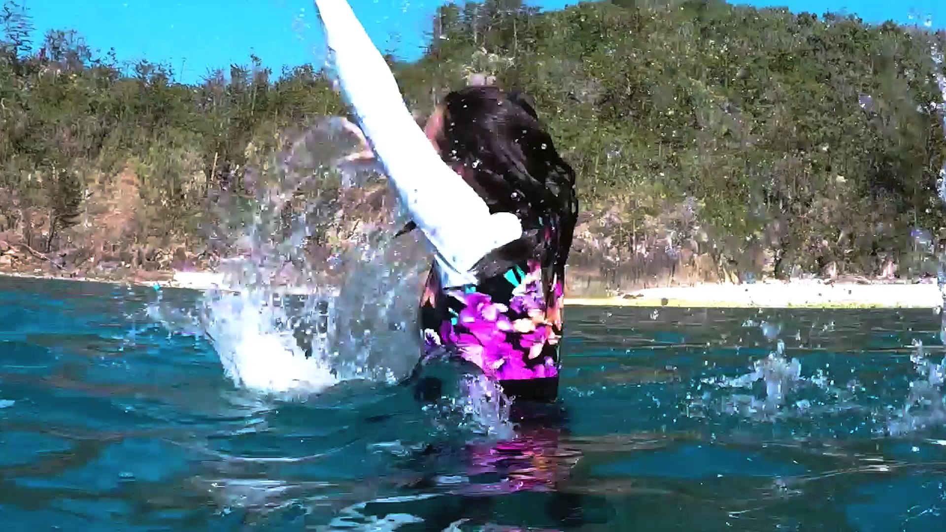 Australia in the news with its latest youth campaign - Aussie News Today Launch Video