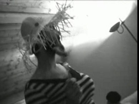 Reprise video de pow wow : le chat pecno