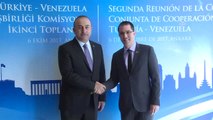 Dışişleri Bakanı Çavuşoğlu ve Jorge Arreaza Görüşmesi