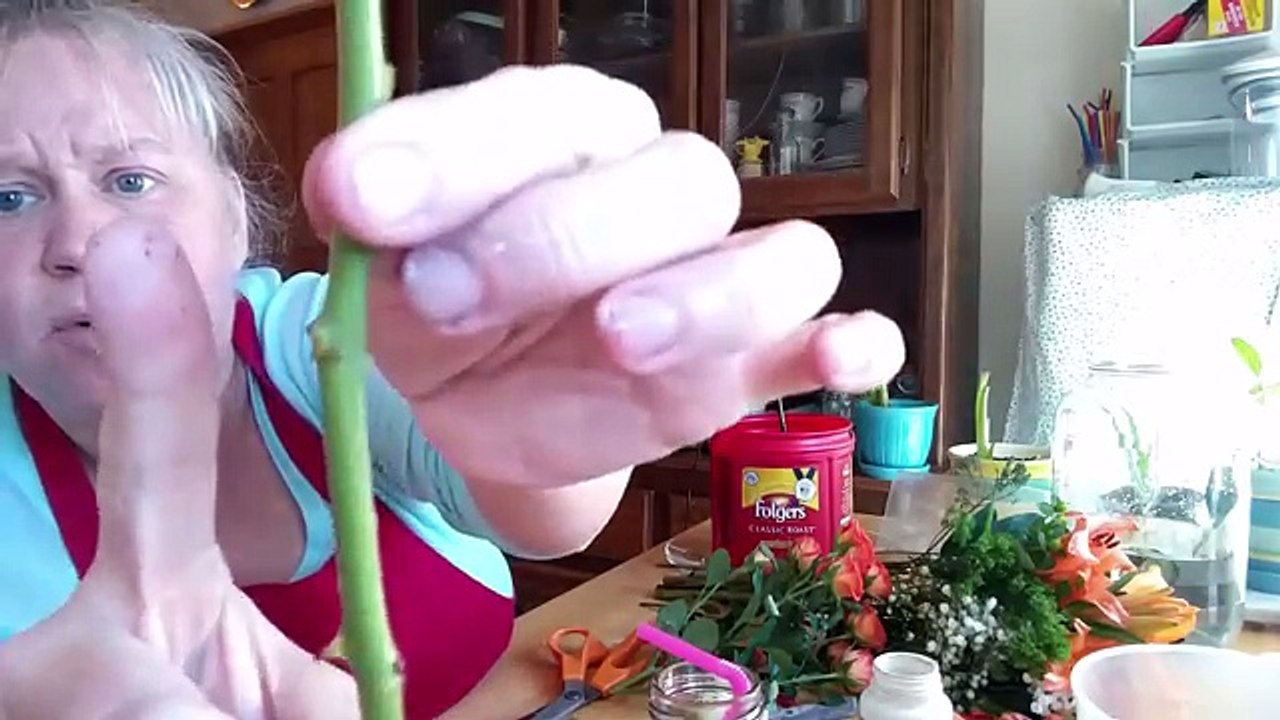 Waste Not Wednesday - How to Root Roses from a Bouquet