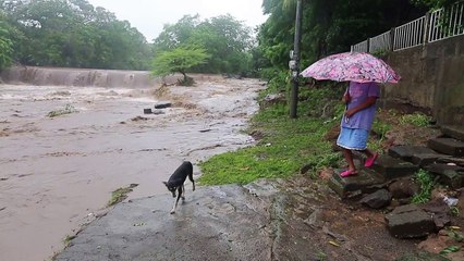 Amérique centrale: 22 morts après le passage de la tempête Nate