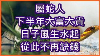 屬蛇人下半年大富大貴，日子風生水起，從此不再缺錢