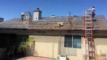 Kurios Energy: The Best Solar Power Provider in Stockton