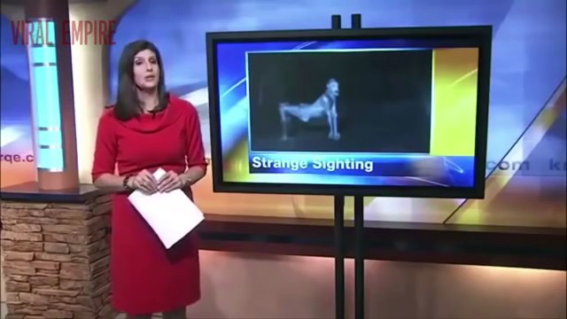 Mysterious Creatures Caught on Tape 2016 | Mysterious Creatures of The World Spotted in Real Life