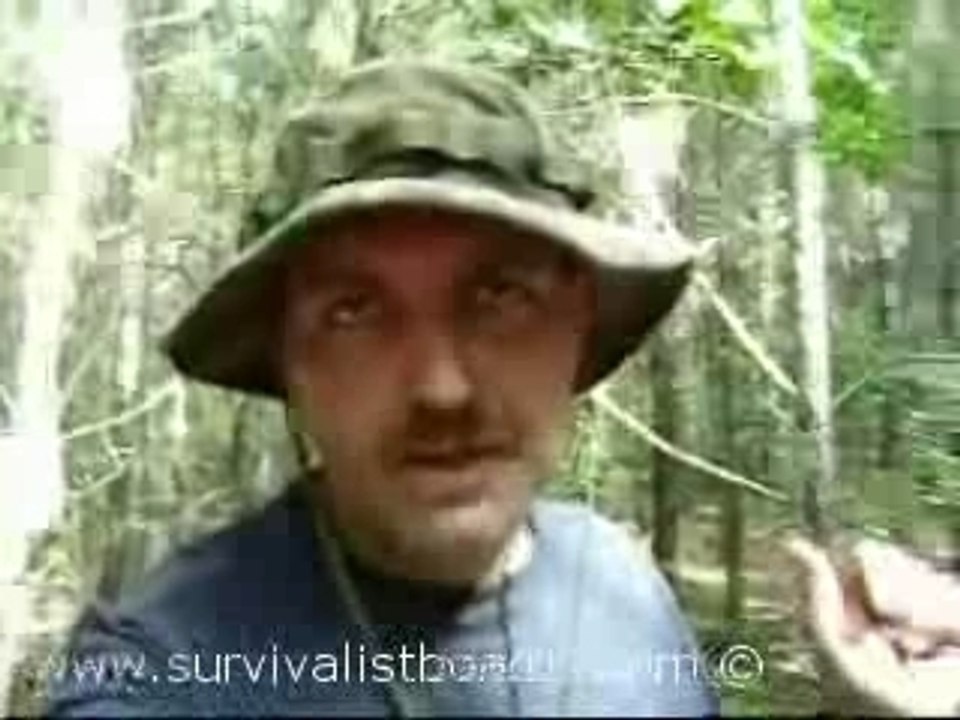 Deer trail video Dailymotion