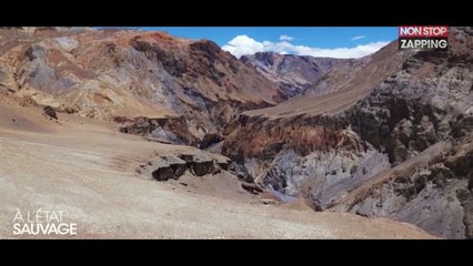 A l’Etat Sauvage : Shy’m en grande difficulté dans les premiers extraits dévoilés (Vidéo)