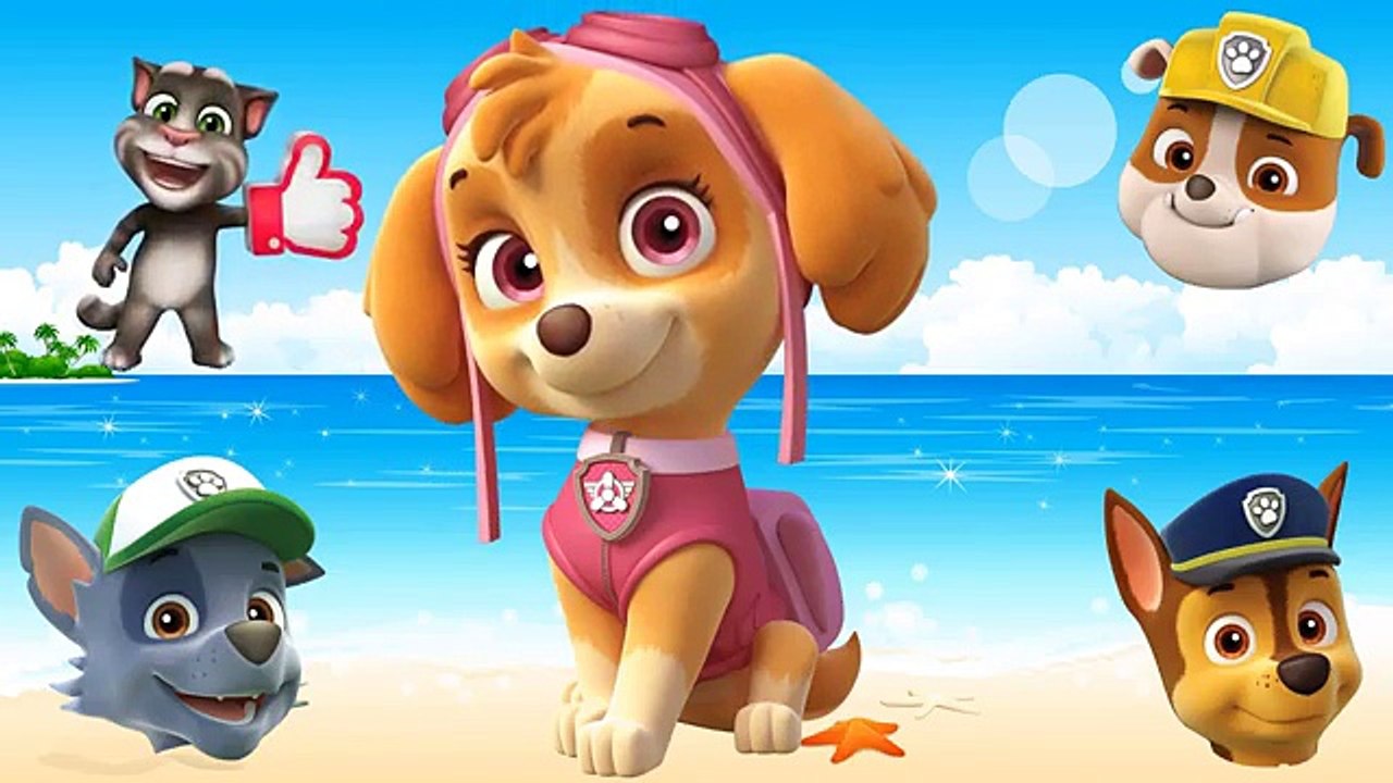 Wrong Heads Paw Patrol Finger Family Learn Colors Nursery Rhyme For Kids, Children And Babies