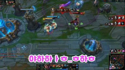 롤 하면서 연초봄을 관찰해보았다.. [투보]