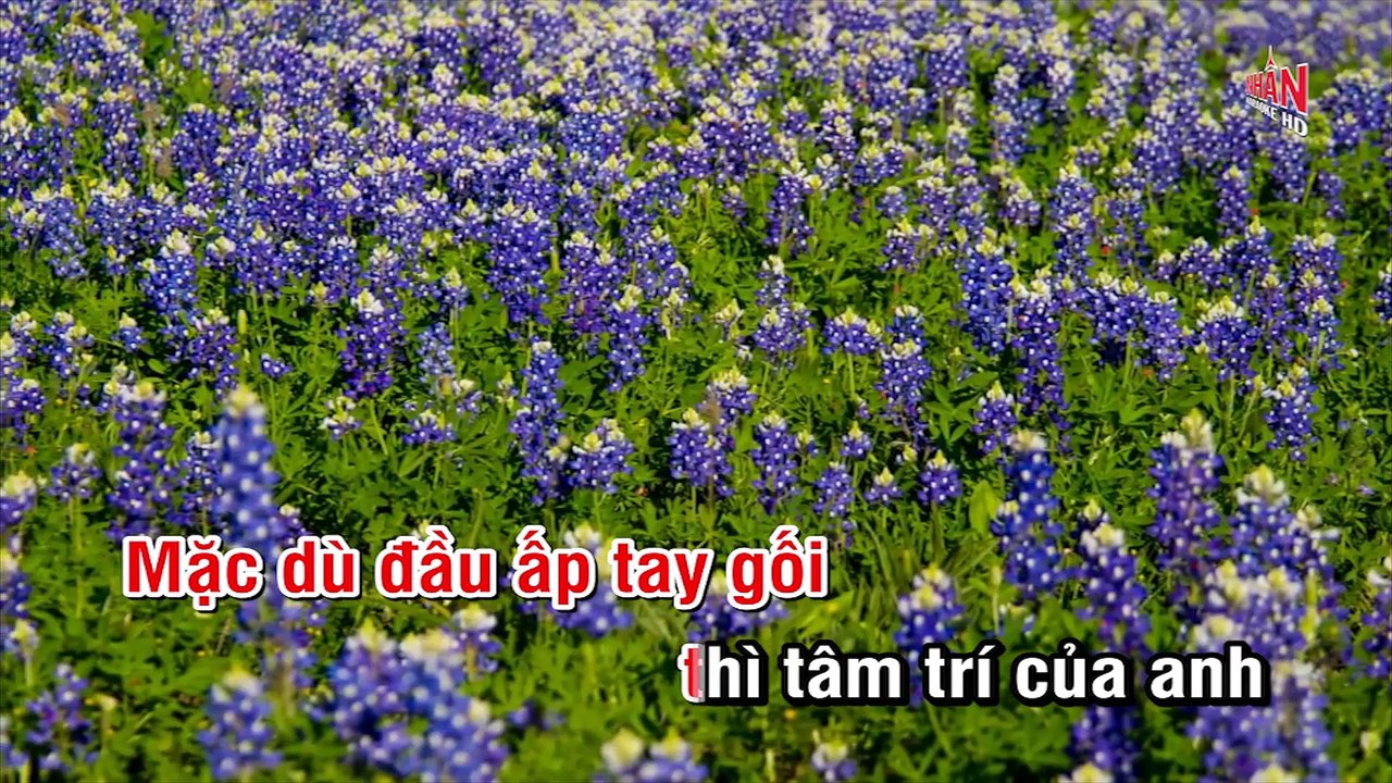 Giọt Nước Mắt Chảy Ngược (Karaoke Beat) - Tone Nữ
