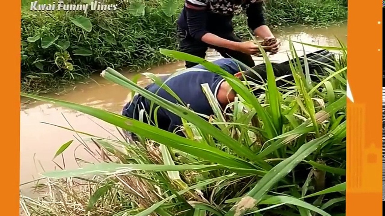 Funny videos 2017 - Funny pranks videos vines compilation try not to laugh challenge in read life - Dailymotion