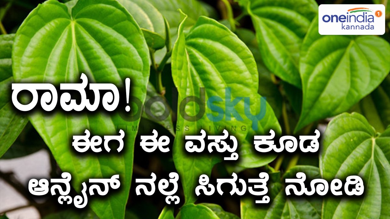 Betel leaves now will be available on online shopping sites | Oneindia Kannada