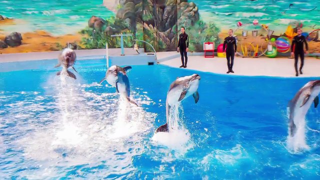 ЖК Сочи | ЖК Адлер | ЖК Известия - 1 | Квартира в Сочи с видом на море [Купить квартиру в Сочи]