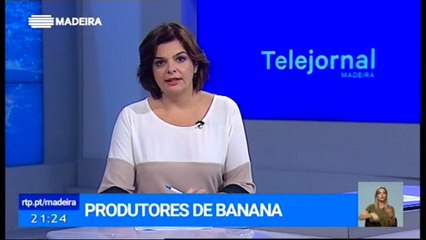 Festa da Banana - Entrada de nova empresa de comercialização de banana na Madeira