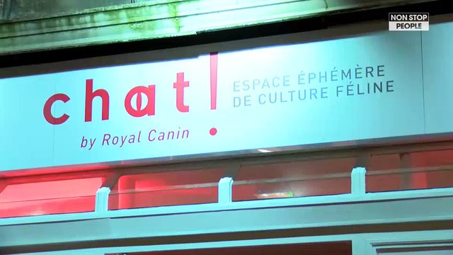 Julie Depardieu, Zoé Felix, Marilou Berry emballées par l’espace Chat ! by Royal Canin ( exclu vidéo)