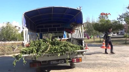 Edirne Kamyonetten Düşen Kadın Ağır Yaralandı