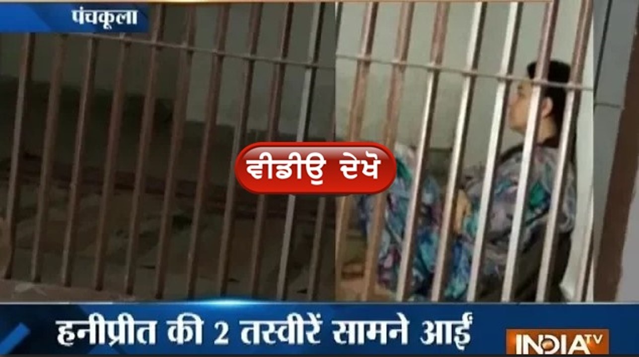 honey preet jail