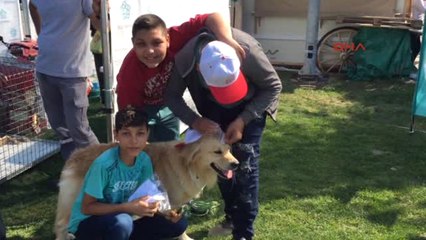 Tekirdağlı Çocuklar Sokak Hayvanlarıyla Buluştu