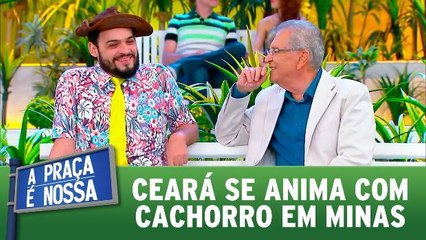 Ceará se anima com cachorro em Minas