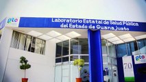 Solicita PVEM llamar a comparecer al secretaria de salud por la epidemiológica del dengue